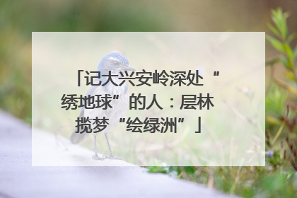 记大兴安岭深处“绣地球”的人：层林揽梦“绘绿洲”