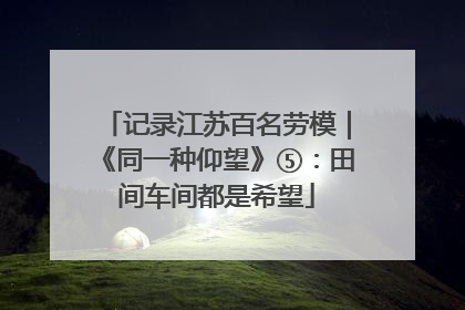 记录江苏百名劳模｜《同一种仰望》⑤：田间车间都是希望