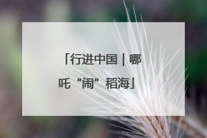 行进中国｜哪吒“闹”稻海