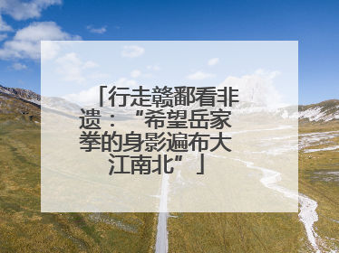 行走赣鄱看非遗：“希望岳家拳的身影遍布大江南北”