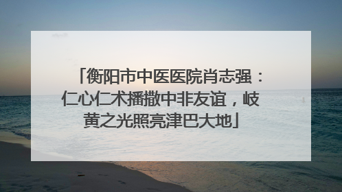 衡阳市中医医院肖志强：仁心仁术播撒中非友谊，岐黄之光照亮津巴大地