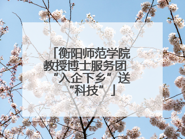 衡阳师范学院教授博士服务团“入企下乡”送“科技”