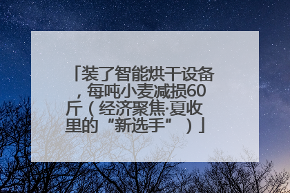 装了智能烘干设备，每吨小麦减损60斤（经济聚焦·夏收里的“新选手”）