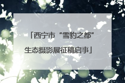 西宁市“雪豹之都”生态摄影展征稿启事