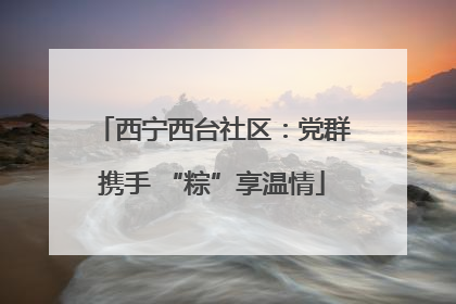 西宁西台社区：党群携手 “粽”享温情