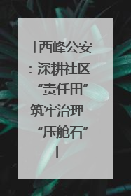 西峰公安：深耕社区“责任田” 筑牢治理“压舱石”