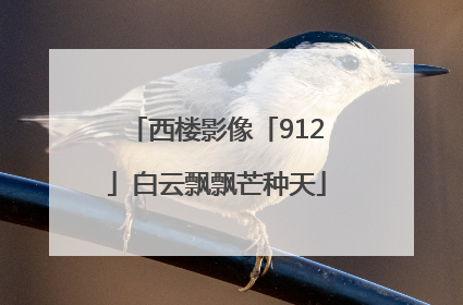 西楼影像「912」白云飘飘芒种天