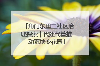角门东里三社区治理探索｜代建代管推动荒地变花园