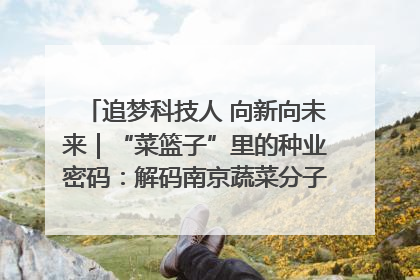 追梦科技人 向新向未来｜“菜篮子”里的种业密码：解码南京蔬菜分子育种的创新之路