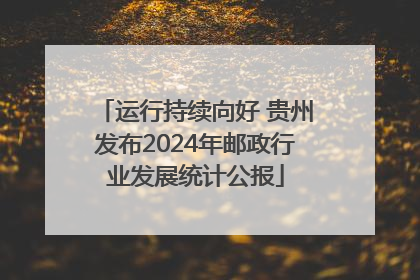 运行持续向好 贵州发布2024年邮政行业发展统计公报