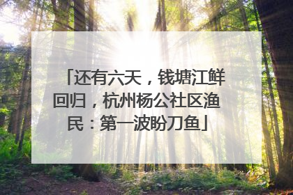 还有六天，钱塘江鲜回归，杭州杨公社区渔民：第一波盼刀鱼