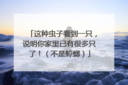 这种虫子看到一只，说明你家里已有很多只了！（不是蟑螂）