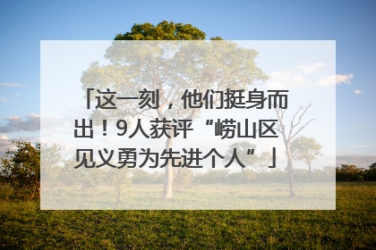 这一刻，他们挺身而出！9人获评“崂山区见义勇为先进个人”