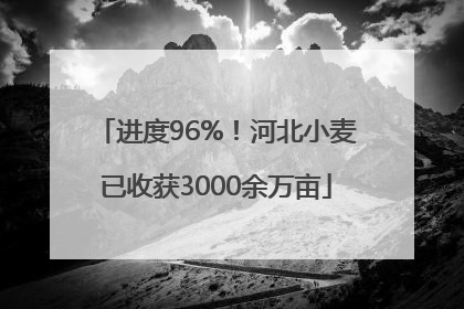 进度96%！河北小麦已收获3000余万亩