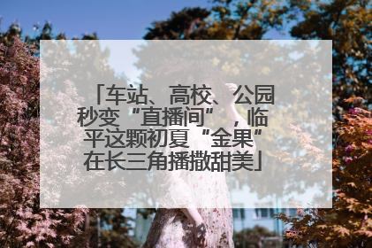 车站、高校、公园秒变“直播间”，临平这颗初夏“金果”在长三角播撒甜美