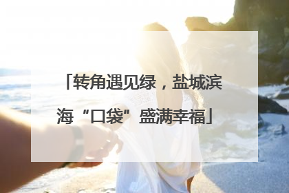 转角遇见绿，盐城滨海“口袋”盛满幸福