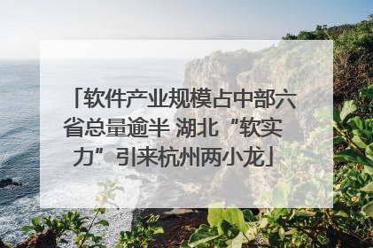 软件产业规模占中部六省总量逾半 湖北“软实力”引来杭州两小龙