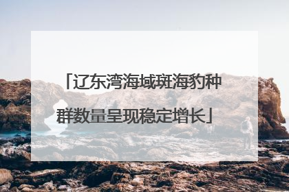 辽东湾海域斑海豹种群数量呈现稳定增长