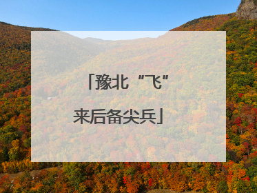 豫北“飞”来后备尖兵