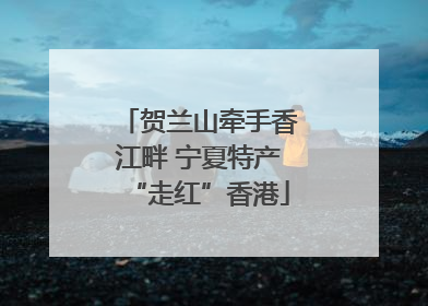 贺兰山牵手香江畔 宁夏特产“走红”香港