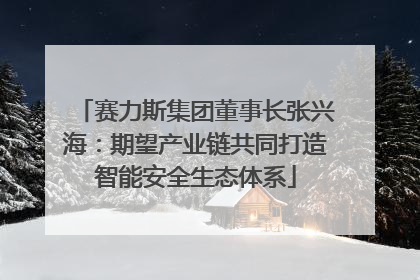 赛力斯集团董事长张兴海：期望产业链共同打造智能安全生态体系
