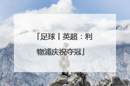 足球丨英超：利物浦庆祝夺冠