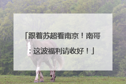 跟着苏超看南京！南哥：这波福利请收好！