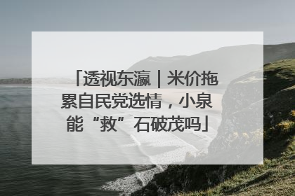 透视东瀛｜米价拖累自民党选情，小泉能“救”石破茂吗