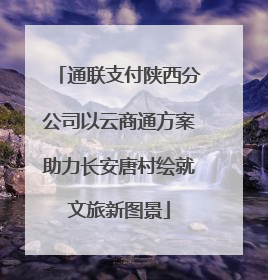 通联支付陕西分公司以云商通方案助力长安唐村绘就文旅新图景