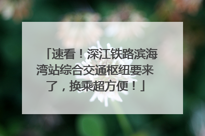 速看！深江铁路滨海湾站综合交通枢纽要来了，换乘超方便！