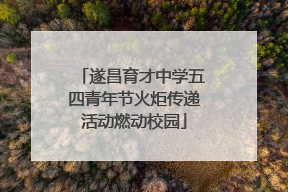 遂昌育才中学五四青年节火炬传递活动燃动校园