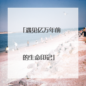 遇见亿万年前的生命印记