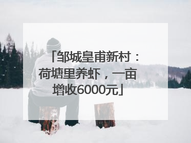 邹城皇甫新村：荷塘里养虾，一亩增收6000元