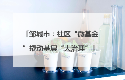 邹城市：社区“微基金”撬动基层“大治理”