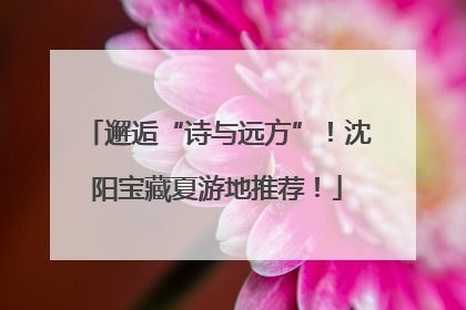 邂逅“诗与远方”！沈阳宝藏夏游地推荐！
