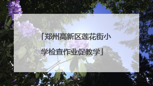 郑州高新区莲花街小学检查作业促教学