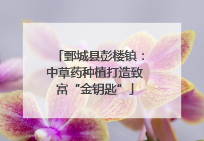 鄄城县彭楼镇：中草药种植打造致富“金钥匙”