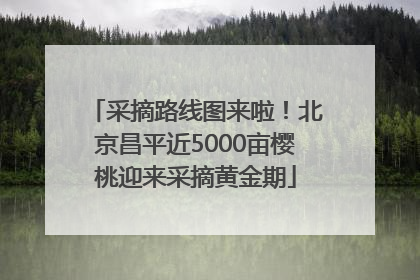 采摘路线图来啦！北京昌平近5000亩樱桃迎来采摘黄金期