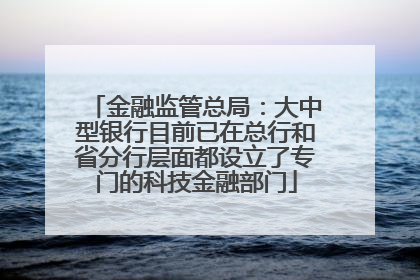 金融监管总局：大中型银行目前已在总行和省分行层面都设立了专门的科技金融部门