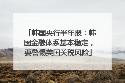 韩国央行半年报：韩国金融体系基本稳定，要警惕美国关税风险
