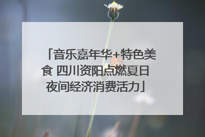 音乐嘉年华+特色美食 四川资阳点燃夏日夜间经济消费活力