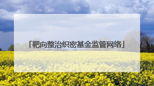 靶向整治织密基金监管网络