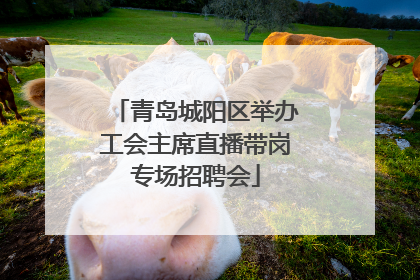 青岛城阳区举办工会主席直播带岗专场招聘会