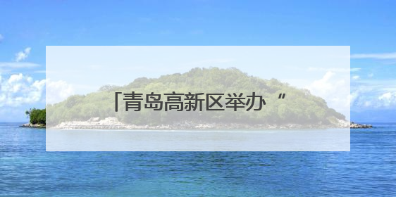 青岛高新区举办“清风拂端午 正气润童心”主题活动