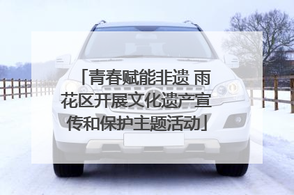 青春赋能非遗 雨花区开展文化遗产宣传和保护主题活动
