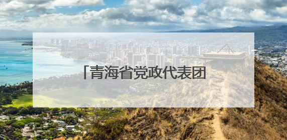 青海省党政代表团赴天津学习考察