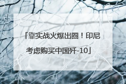 靠实战火爆出圈！印尼考虑购买中国歼-10