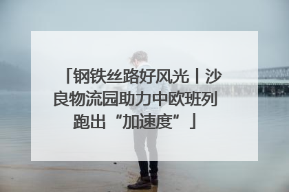 钢铁丝路好风光丨沙良物流园助力中欧班列跑出“加速度”