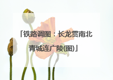 铁路调图：长龙贯南北 青城连广陵(图)
