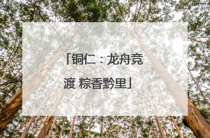 铜仁：龙舟竞渡 粽香黔里